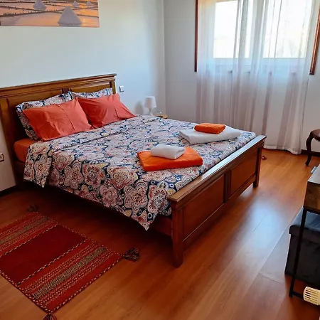 Ana Paula House Apartment Aveiro Exterior photo