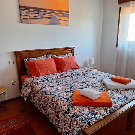 Ana Paula House Apartment Aveiro Exterior photo