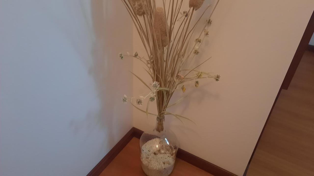 Quarto em Acomodações Particulares Ana Paula House Aveiro